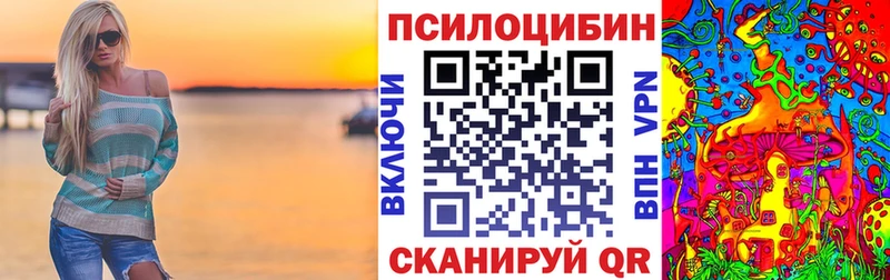 Галлюциногенные грибы Psilocybe Приволжский
