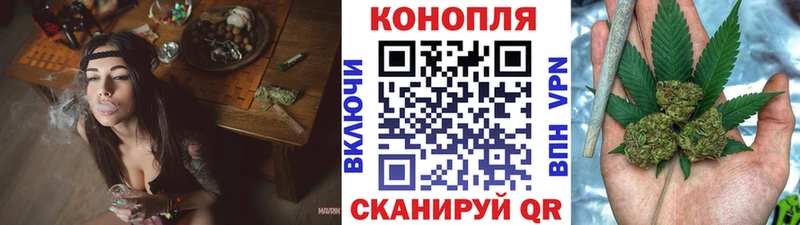 Каннабис семена  закладка  Приволжский 
